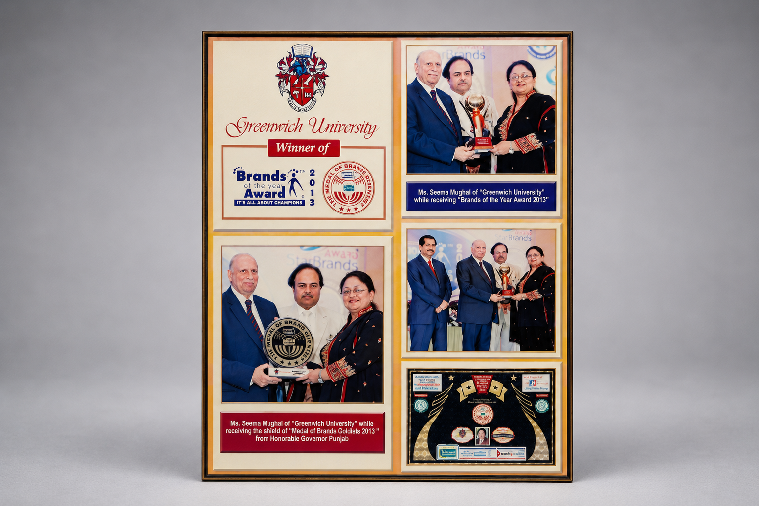 Brands of the Year Award 2013 and Medal of Brands Goldists received by Ms. Seema Mughal